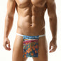 Men Triangle Sexy Printed Underwear