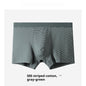 Summer Men's Underwear Modal Cotton Boxer