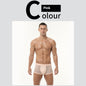 Ice Silk High Elastic Mesh Underwear Thin Cotton Crotch Boxers