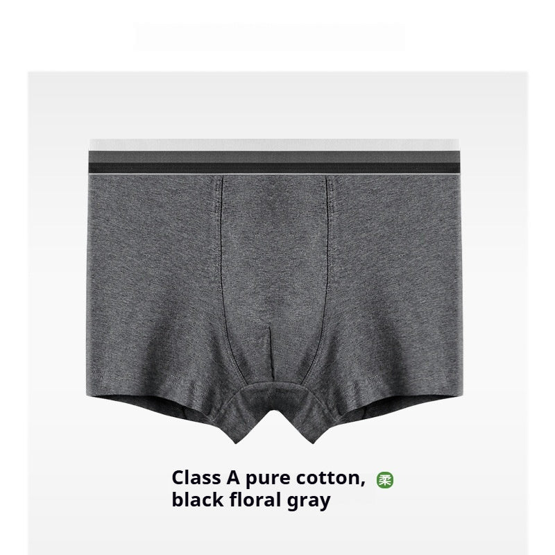 New Men's Underwear Cotton Class A Cotton Summer