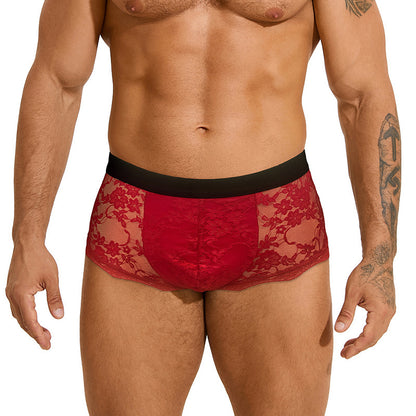 Men's Lace Sexy Briefs Hollow Out See Through