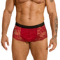 Men's Lace Sexy Briefs Hollow Out See Through