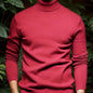 Men's Solid Color Versatile Soft Viscose Turtleneck Sweater