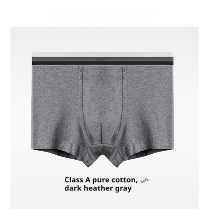 New Men's Underwear Cotton Class A Cotton Summer