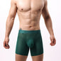 Men's Lace Mesh Stylish Comfortable Boxers