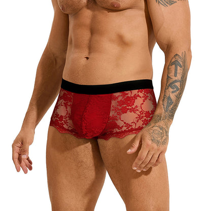 Men's Lace Sexy Briefs Hollow Out See Through