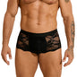 Men's Lace Sexy Briefs Hollow Out See Through