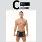 Ice Silk High Elastic Mesh Underwear Thin Cotton Crotch Boxers