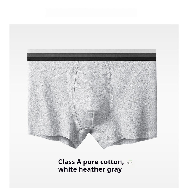 New Men's Underwear Cotton Class A Cotton Summer