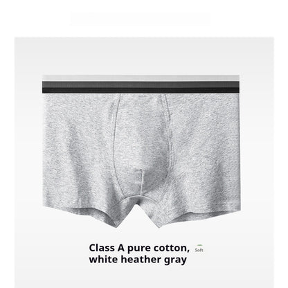 New Men's Underwear Cotton Class A Cotton Summer
