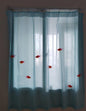 2eda40fe0ac5438c75a3b7192a79adfa