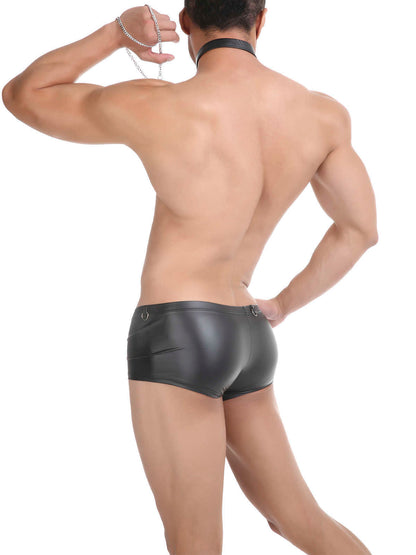 Silver Men's Underwear Tp R479g Bronzing Imitation Leather Sexy Vanskoos Boxers Underpants Men VS010PJ