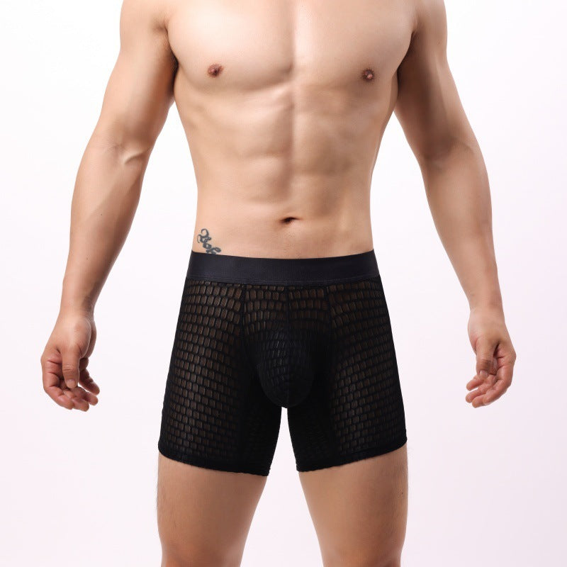 Men's Lace Mesh Stylish Comfortable Boxers