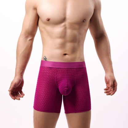 Men's Lace Mesh Stylish Comfortable Boxers