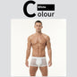 Ice Silk High Elastic Mesh Underwear Thin Cotton Crotch Boxers