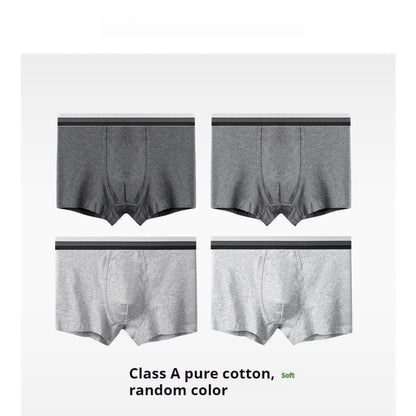 New Men's Underwear Cotton Class A Cotton Summer